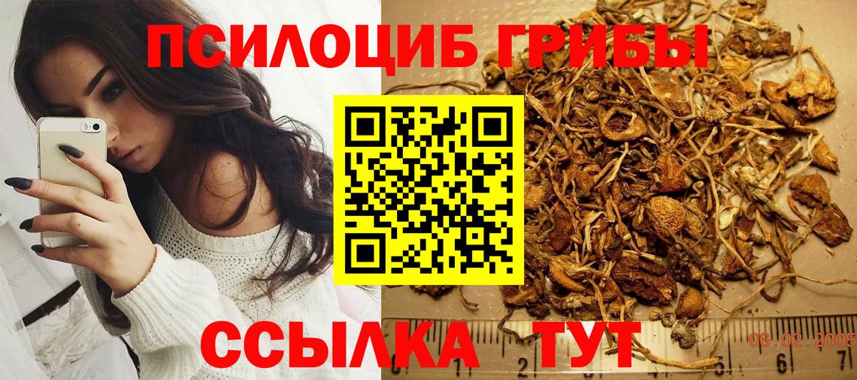 как найти наркотики  Псилоцибиновые грибы Magic Shrooms  Вход с VPN  Химки 