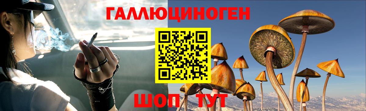 Галлюциногенные грибы ЛСД Химки